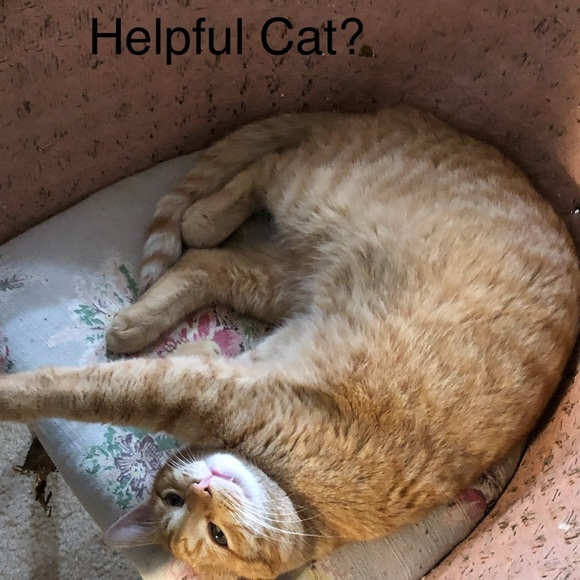 Burwood Products Vintage Wall Pocket Planter Bless This House White Ducks - Picture 7 of 8